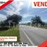  Land for sale in Palermo, Huila, Palermo, Huila