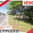  Land for sale in Palermo, Huila, Palermo