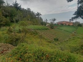  Grundstück zu verkaufen in Medellin, Antioquia, Medellin, Antioquia