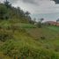  Grundstück zu verkaufen in Medellin, Antioquia, Medellin, Antioquia