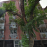 2 Habitación Villa en venta en Miguel Hidalgo, Ciudad de México, Miguel Hidalgo