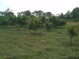  Terreno (Parcela) en venta en Puerto Quito, Pichincha, Puerto Quito, Puerto Quito