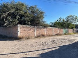  Grundstück zu verkaufen in Apaseo El Grande, Guanajuato, Apaseo El Grande