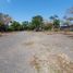  Land for rent in Medellin, Veracruz, Medellin