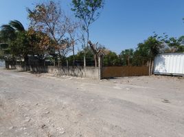  Land for rent in Medellin, Veracruz, Medellin