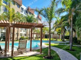 Appartement 3 chambre à louer à Queretaro, Queretaro, Queretaro, Queretaro