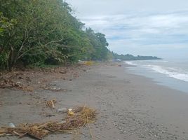  Grundstück zu verkaufen in Negros Oriental, Negros Island Region, Santa Catalina, Negros Oriental