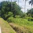  Land for sale in Cavite, Calabarzon, Alfonso, Cavite