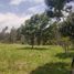  Land for sale in Villa De Leyva, Boyaca, Villa De Leyva