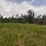  Land for sale in Villa De Leyva, Boyaca, Villa De Leyva