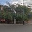  Terreno (Parcela) en venta en Castilla, Piura, Castilla, Piura, Piura