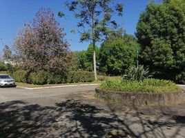  Terreno (Parcela) en venta en Xico, Veracruz, Xico