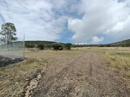  Terreno (Parcela) en venta en Huimilpan, Querétaro, Huimilpan