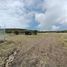  Terreno (Parcela) en venta en Huimilpan, Querétaro, Huimilpan
