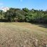  Land for sale in Las Lajas, Chame, Las Lajas