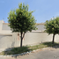 Villa 3 chambre à vendre à Monterrey, Nuevo Leon, Monterrey