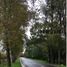  Land for sale in Los Rios, Futrono, Ranco, Los Rios
