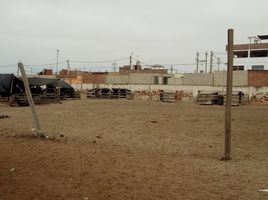  Grundstück zu verkaufen in Lurin, Lima, Lurin, Lima, Lima, Peru
