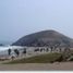  Grundstück zu verkaufen in Santa Rosa, Lima, Santa Rosa, Lima, Lima, Peru