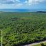 在Champoton, Campeche出售的 土地, Champoton