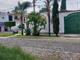 504 m2 Office for rent in Guadalajara, Jalisco, Guadalajara
