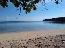  Land for sale in Romblon, Mimaropa, Ferrol, Romblon