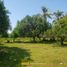  Land for sale in Pamplona, Negros Oriental, Pamplona