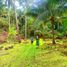  Land for sale in Calape, Central Visayas, Calape
