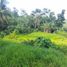  Land for sale in Central Visayas, Cebu City, Cebu, Central Visayas