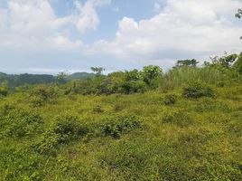  Land for sale in Central Visayas, Cebu City, Cebu, Central Visayas