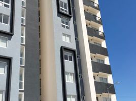 2 Habitación Departamento en alquiler en Zapopan, Jalisco, Zapopan