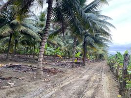  Terreno (Parcela) en venta en Portoviejo, Manabi, Portoviejo, Portoviejo