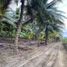  Land for sale in Portoviejo, Manabi, Portoviejo, Portoviejo