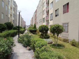 在Surquillo, Lima出售的3 卧室 住宅, Surquillo