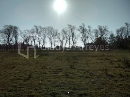  Terreno (Parcela) en venta en Magdalena, Buenos Aires, Magdalena