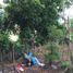 Terreno (Parcela) en venta en Cebu City, Central Visayas, Cebu City, Cebu, Central Visayas, Filipinas