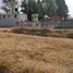  Grundstück zu verkaufen in Xaltocan, Tlaxcala, Xaltocan