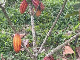  Terreno (Parcela) en venta en Pedro Vicente Maldonado, Pichincha, Pedro Vicente Maldonado, Pedro Vicente Maldonado