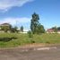  Land for sale in Consolacion, Cebu, Consolacion