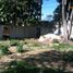  Land for sale in Carmen, Campeche, Carmen