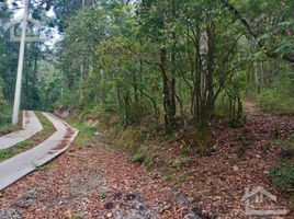  Land for sale in Pachuca De Soto, Hidalgo, Pachuca De Soto, Hidalgo