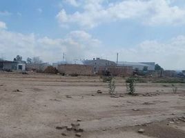  Land for sale in Jesus Maria, Aguascalientes, Jesus Maria