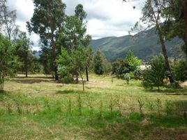  Land for sale in Villa De Leyva, Boyaca, Villa De Leyva