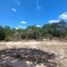  Terreno (Parcela) en venta en Merida, Yucatán, Merida, Yucatán