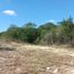  Terreno (Parcela) en venta en Merida, Yucatán, Merida, Yucatán