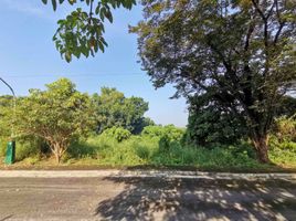  Land for sale in Rizal, Calabarzon, Antipolo City, Rizal