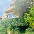 5 Habitación Casa en venta en Parque Isidora Cousiño De Lota, Viña del Mar, Viña del Mar