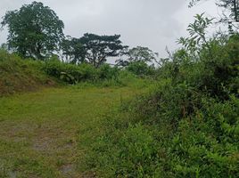  Land for sale in Santo Domingo De Los Colorados, Santo Domingo De Los Tsachilas, Santo Domingo De Los Colorados, Santo Domingo, Santo Domingo De Los Tsachilas