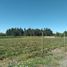  Terreno (Parcela) en venta en Maule, Maule, Talca, Maule