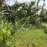  Land for sale in Liloan, Cebu, Liloan